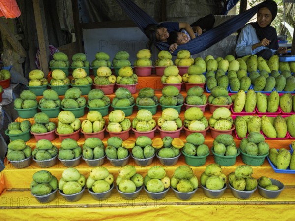 Mango (Mangifera indica) for sale at street market, Sulawesi, Indonesia, Asia