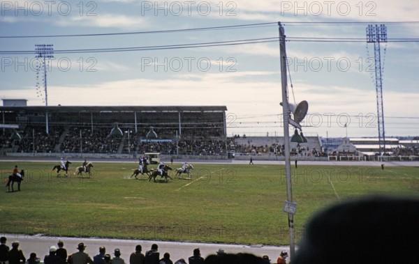Polo equestrian match in a stadium, Melbourne, Victoria, Australia, 1956, Oceania