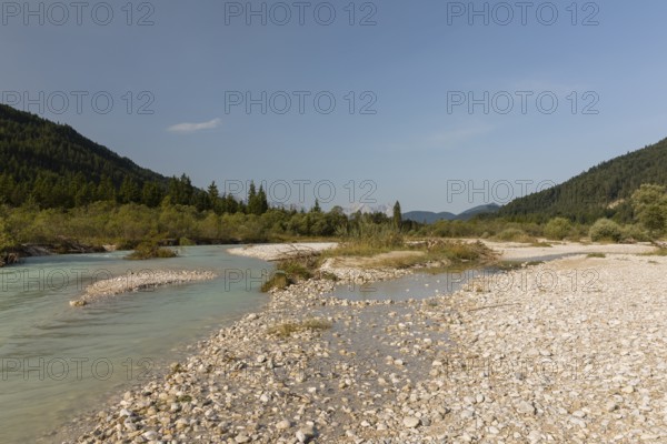 Isar valley nature conservancy area. The wild Isar river flows through its gravel bed past