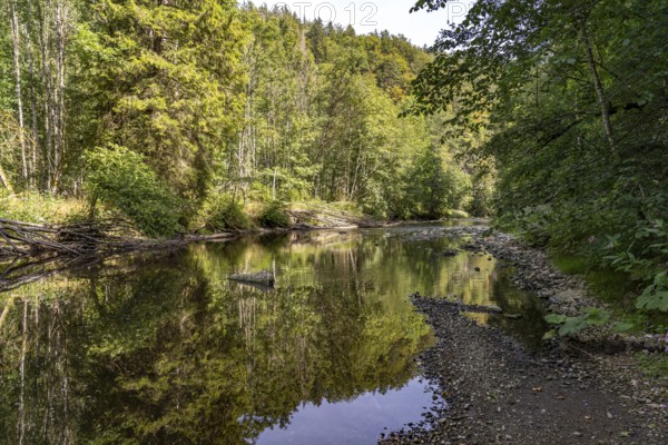 The River Wutach in the Wutach Gorge, Black Forest, Baden-Württemberg, Germany, Europe