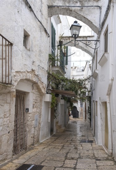 Enchanted historic alleyway with arches and whitewashed walls, decorated with plants, Cisternino,