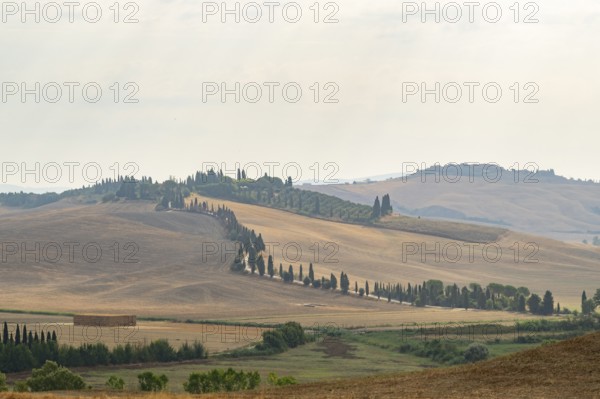 Typical Tuscan landscape in Crete Senesi with hills, trees, fields, cypresses and farm road in