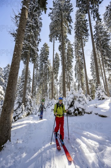 Ski tourers and snowshoe hikers in a snowy winter forest, ascent to the Teufelstättkopf,