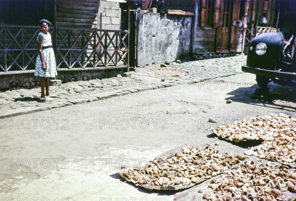 Drying copra outside houses, Soufriere, St Lucia, Windward Islands, West Indies, 1962