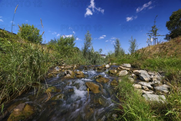 Recklinghausen, North Rhine-Westphalia, Germany, renaturalised Hellbach, renaturalised watercourse,