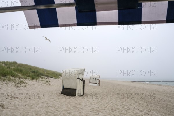 Graal-Müritz, Mecklenburg-Western Pomerania, Germany, Beach chairs in the fog on the sandy beach of