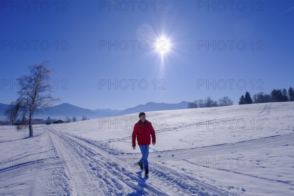 Hikers in winter near Sindelsdorf in the Benediktbeurer Moor, Tölzer Land, Upper Bavaria, Bavaria,