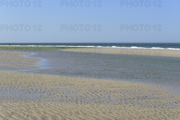 Beach at low tide with wave-like structure, current ripples in wet sand, blue sky, North Sea,