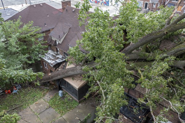 Detroit, Michigan, A storm with 70mph wind gusts blew down a 15-ton, 110-foot cottonwood, damaging