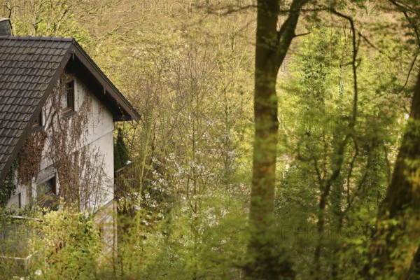 Iserlohn. This year's unusually warm weather in April has already given us a May. Nature exploded