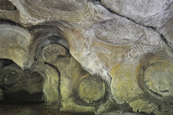 Grooves and circles in the sandstone rock from carving millstones at the Hohllay cave in Berdorf,