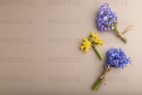 Spring snowdrop flowers bluebells, narcissus on beige pastel background. top view, flat lay, copy