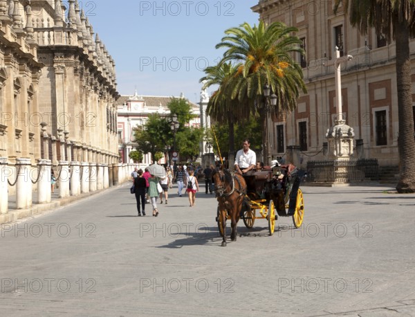 Horse and carriage rides for tourists through the historic central areas of Seville, Spain, Europe