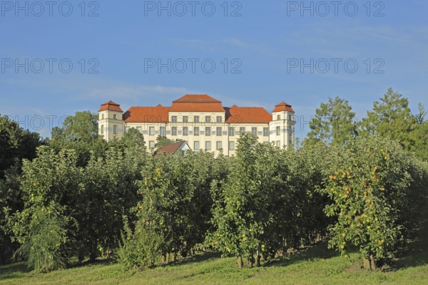 Baroque New Castle built in 1712 and apple orchard, Baroque castle, Tettnang, Lake Constance