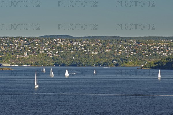 A few sailboats float calmly on the water, in front of a hilly cityscape under a clear sky,