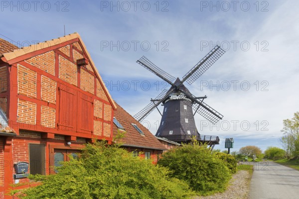 Windmill museum in old smock mill Jachen Flünk in the village Lemkenhafen on Fehmarn island,