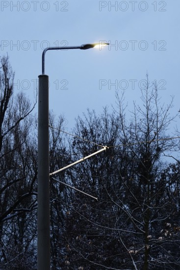Street lighting, late autumn, Germany, Europe