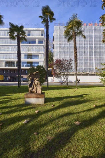 Chusan Palm (Trachycarpus fortunei), garden, lawn, trees, modern architecture, blue cloudless sky,