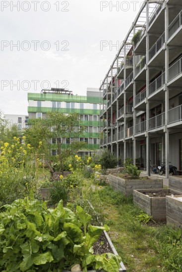 Modern architecture, co-operative, housing co-operative, Erlenmatt, Basel, Canton of Basel-Stadt,
