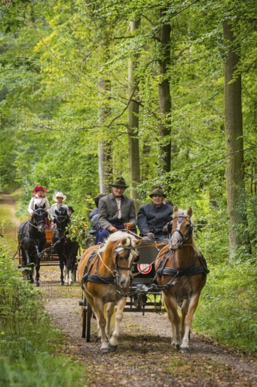 Presentation and route ride, all carriages in stylish tension, popular sporting event over approx.