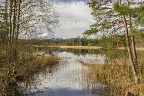 Lake Fohnsee of the Ostersee-group in early morning light