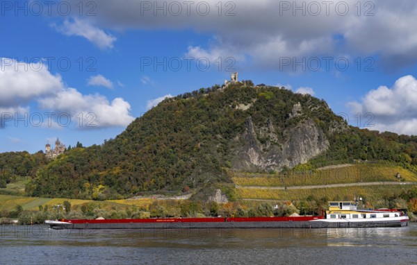Drachenfels, a mountain in the Siebengebirge on the Rhine between Bad Honnef and Königswinter, with