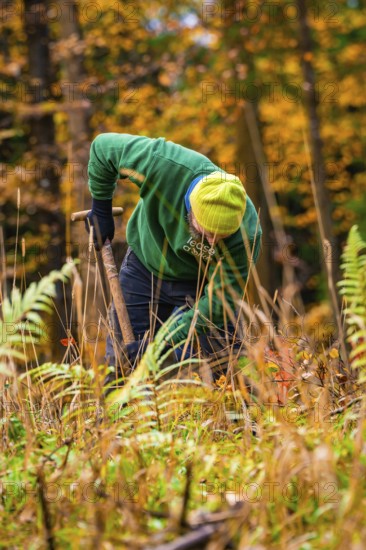A man in work clothes bends down to work among autumn plants, tree planting campaign, Waldbike