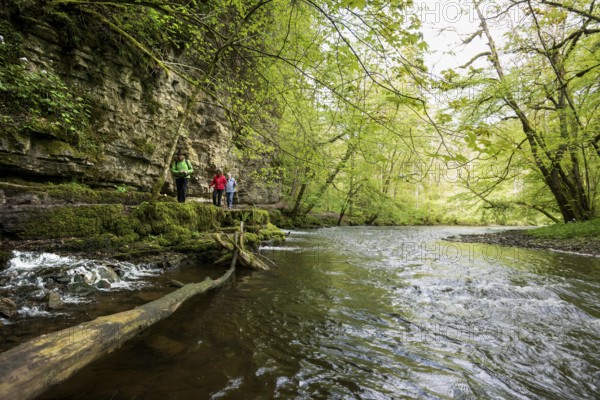 Hiking trail by the river, Wutach Gorge, Bonndorf, Baden-Württemberg, Black Forest, Germany, Europe