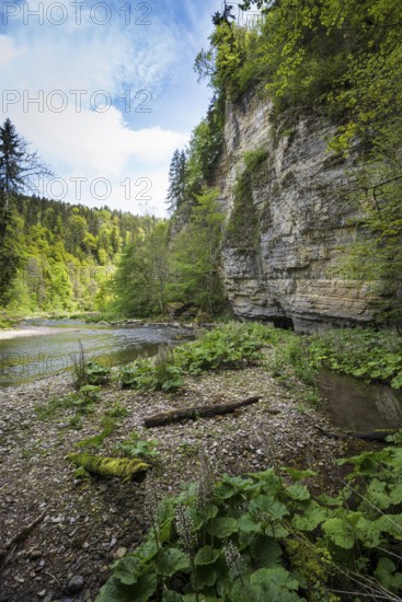 Steep cliffs and river, Wutach Gorge, Bonndorf, Baden-Württemberg, Black Forest, Germany, Europe