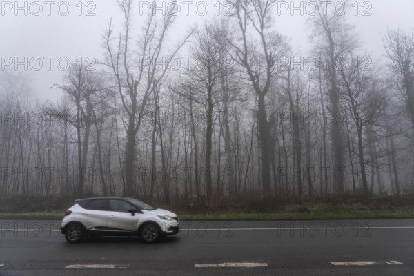 Dense fog, with visibility sometimes less than 100 metres, country road, Heisinger Straße, in