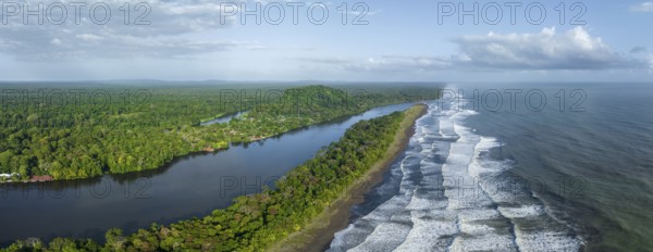 Aerial view, beach and sea, coast with rainforest, Tortuguero National Park, Costa Rica, Central