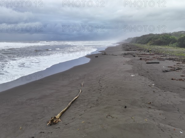 Beach and sea, coast with rainforest, Tortuguero National Park, Costa Rica, Central America
