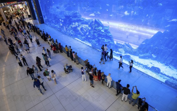 Interior view, Dubai Aquarium and Underwater Zoo, Dubai Luxury Shopping Mall, luxury shopping