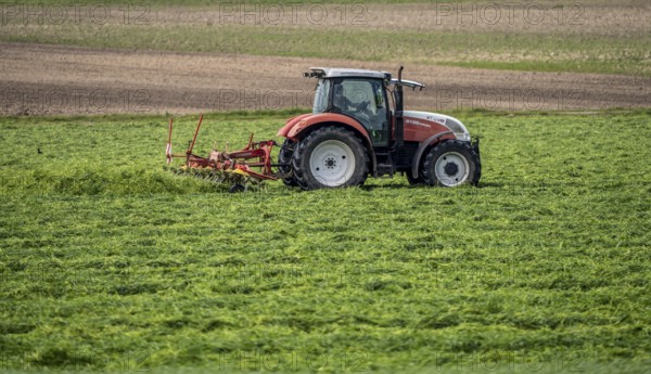 Tractor, mowing grass, turning the grass, near Issum, Lower Rhine, North Rhine-Westphalia, Germany,