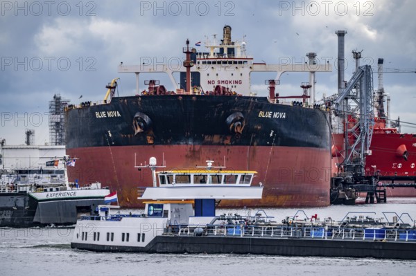 Large tanker for crude oil, Blü Nova, being unloaded, barge, in the petroleum harbour, seaport of