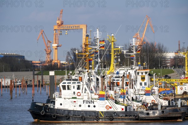Workboats, tugs, of Emder Schlepp Betrieb GmbH, harbour tugs, in the port of Emden, Lower Saxony,