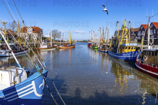 Cutter harbour Neuharlingersiel, Lower Saxony, Germany, Europe