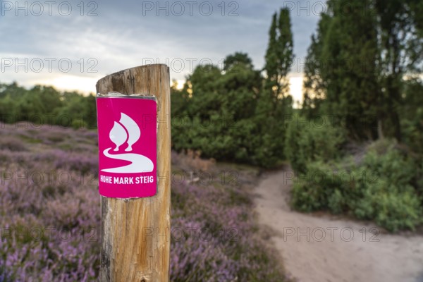 The Westruper Heide, in the Hohe Mark Westmünsterland nature park Park, near Haltern am See,
