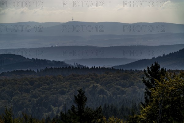 View from Kahlen Asten mountain, to the east, forest landscape in Hochsauerlandkreis, Hochheide,