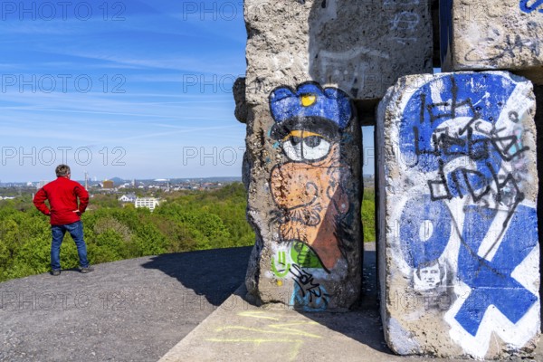 Rheinelbe spoil tip in Gelsenkirchen, 100 metre high spoil tip, landscape park, with the sculpture