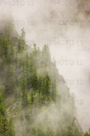 Wisps of mist cover the Karwendel mountains in the Großer Ahornboden nature reserve, Eng Valley,