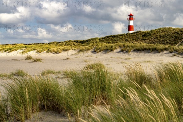 Dunes at the coast of Ellenbogen and the lighthouse List-Ost, List, island Sylt, district