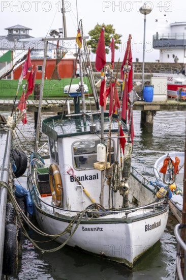 Fishing boats in the town harbour of Sassnitz, island of Rügen, Mecklenburg-Vorpommern, Germany,