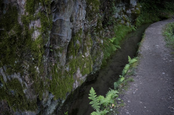 Hiking trail, Maiser Waalweg, stream, long exposure, Schenna, Scena, South Tyrol, Autonomous