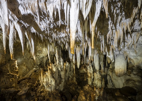 Stalactite cave, Terciopelo Cave, Barra Honda National Park, Costa Rica, Central America
