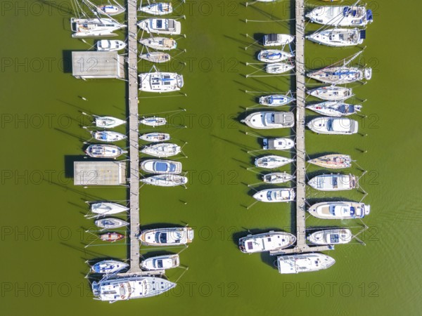 Aerial view, drone photo: Yachts on the jetty in Krummin natural harbour, Krumminer Wiek on the