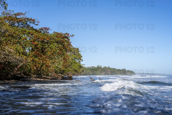 Stand in Cahuita, Costa Rica, Central America