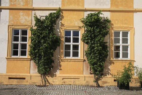 Oberschwappach Castle, facade detail, Steigerwald, municipality of Knetzgau, district of Hassberge,