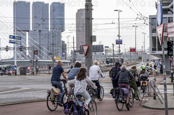 Cyclist on cycle path in front of the Erasmus Bridge over the Nieuwe Maas, skyline of skyscrapers