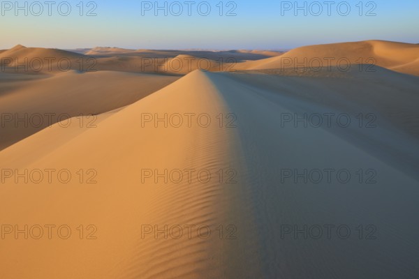 Endless sand dune landscape at sunset with golden sand and blue sky, Matruh, Great Sand Sea, Libyan